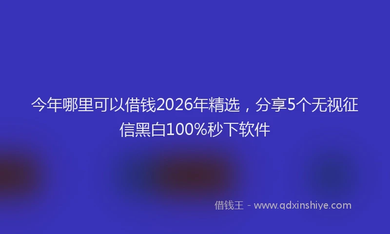 今年哪里可以借钱2026年精选，分享5个无视征信黑白100%秒下软件