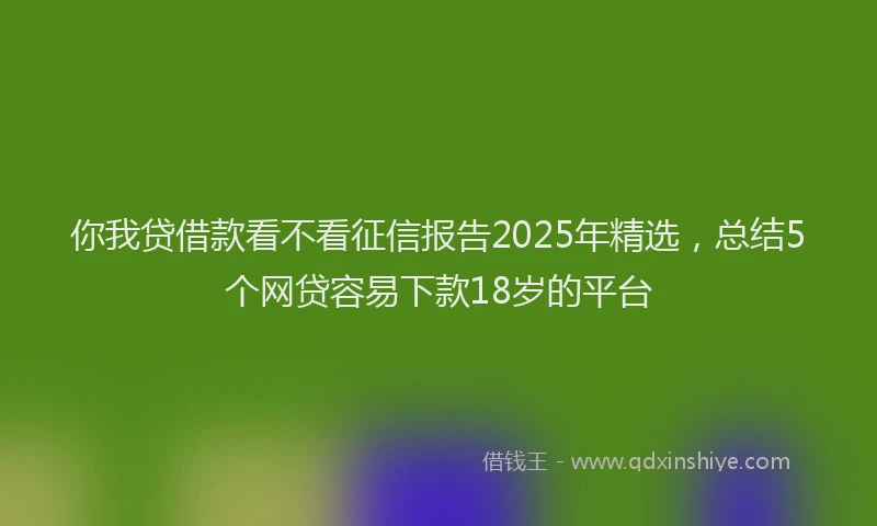 你我贷借款看不看征信报告2025年精选，总结5个网贷容易下款18岁的平台