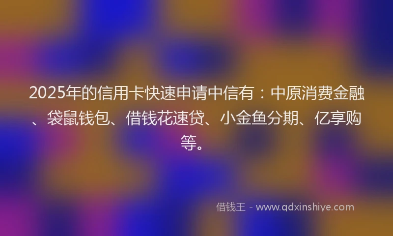 2025年的信用卡快速申请中信有：中原消费金融、袋鼠钱包、借钱花速贷、小金鱼分期、亿享购等。