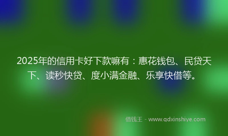 2025年的信用卡好下款嘛有：惠花钱包、民贷天下、读秒快贷、度小满金融、乐享快借等。
