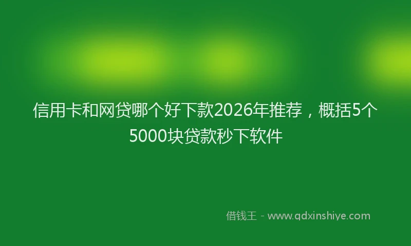 信用卡和网贷哪个好下款2026年推荐，概括5个5000块贷款秒下软件