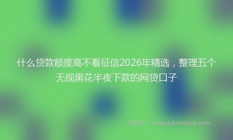 什么贷款额度高不看征信2026年精选，整理五个无视黑花半夜下款的网贷口子