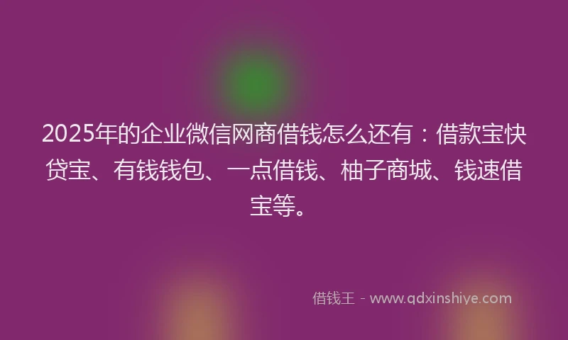 2025年的企业微信网商借钱怎么还有：借款宝快贷宝、有钱钱包、一点借钱、柚子商城、钱速借宝等。
