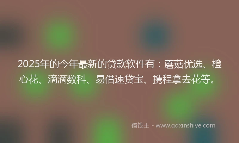 2025年的今年最新的贷款软件有：蘑菇优选、橙心花、滴滴数科、易借速贷宝、携程拿去花等。