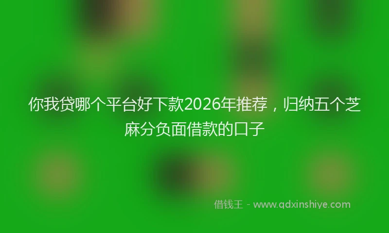 你我贷哪个平台好下款2026年推荐,归纳五个芝麻分负面借款的口子