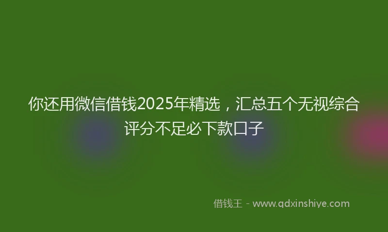 你还用微信借钱2025年精选，汇总五个无视综合评分不足必下款口子
