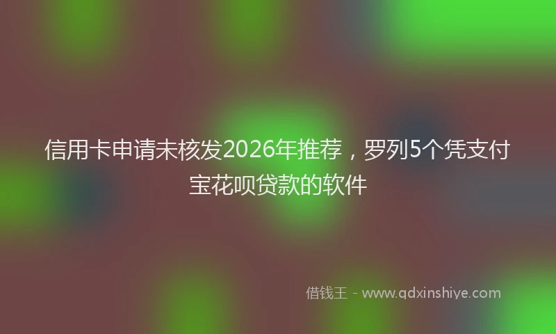 信用卡申请未核发2026年推荐，罗列5个凭支付宝花呗贷款的软件