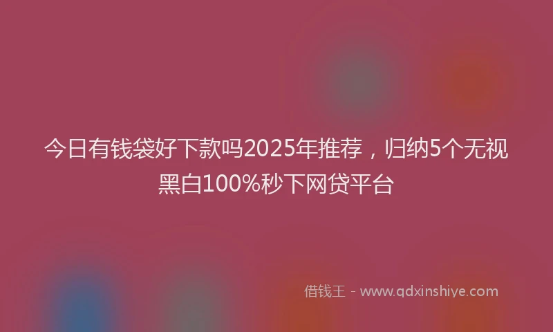 今日有钱袋好下款吗2025年推荐，归纳5个无视黑白100%秒下网贷平台