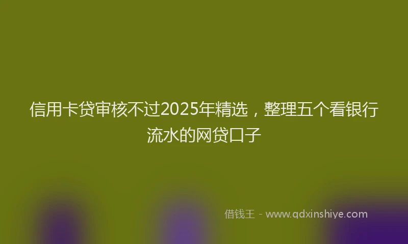信用卡贷审核不过2025年精选,整理五个看银行流水的网贷口子
