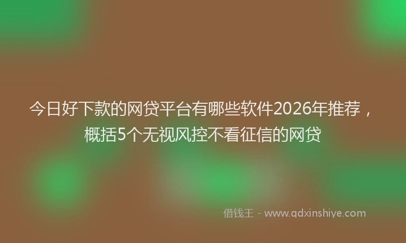 今日好下款的网贷平台有哪些软件2026年推荐，概括5个无视风控不看征信的网贷