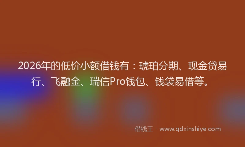 2026年的低价小额借钱有：琥珀分期、现金贷易行、飞融金、瑞信Pro钱包、钱袋易借等。