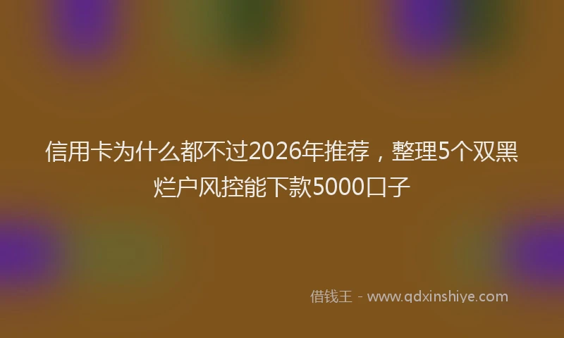 信用卡为什么都不过2026年推荐，整理5个双黑烂户风控能下款5000口子