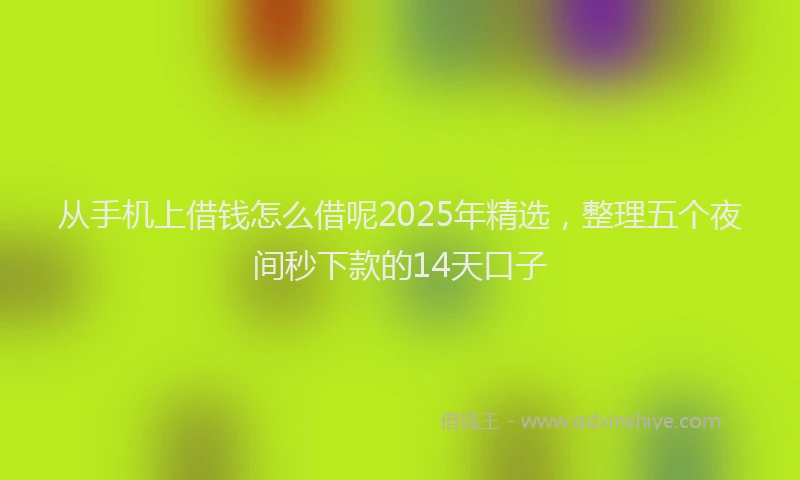 从手机上借钱怎么借呢2025年精选,整理五个夜间秒下款的14天口子