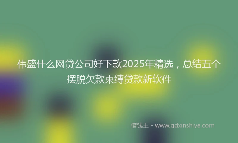 伟盛什么网贷公司好下款2025年精选,总结五个摆脱欠款束缚贷款新软件