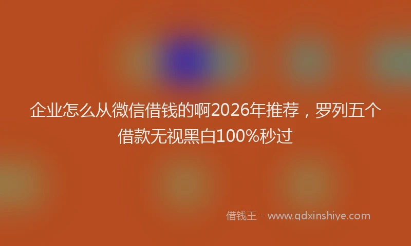 企业怎么从微信借钱的啊2026年推荐，罗列五个借款无视黑白100%秒过
