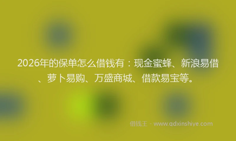 2026年的保单怎么借钱有：现金蜜蜂、新浪易借、萝卜易购、万盛商城、借款易宝等。