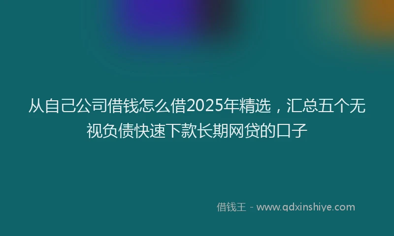 从自己公司借钱怎么借2025年精选，汇总五个无视负债快速下款长期网贷的口子