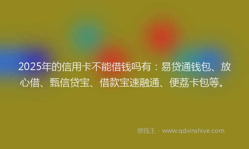 2025年的信用卡不能借钱吗有：易贷通钱包、放心借、甄信贷宝、借款宝速融通、便荔卡包等。