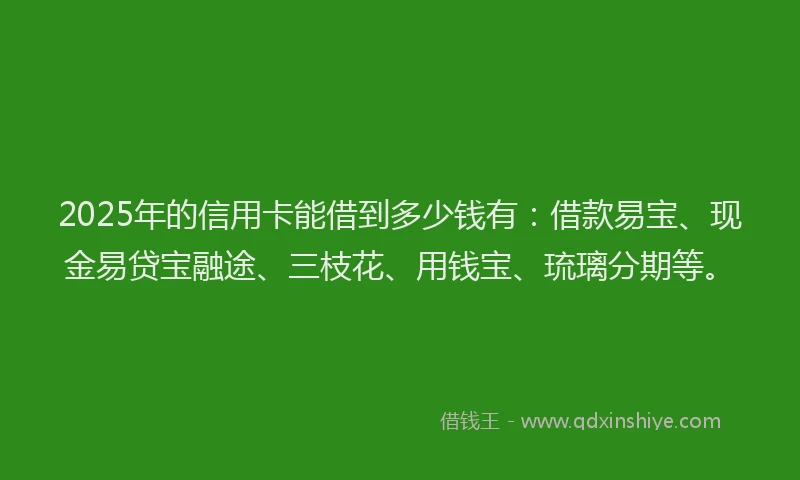 2025年的信用卡能借到多少钱有：借款易宝、现金易贷宝融途、三枝花、用钱宝、琉璃分期等。