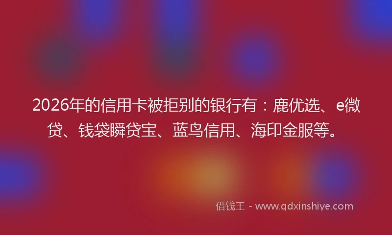 2026年的信用卡被拒别的银行有：鹿优选、e微贷、钱袋瞬贷宝、蓝鸟信用、海印金服等。