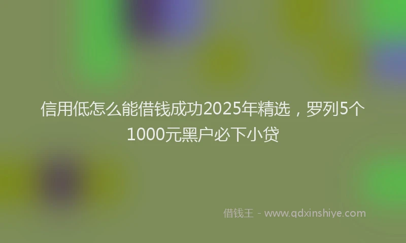 信用低怎么能借钱成功2025年精选，罗列5个1000元黑户必下小贷