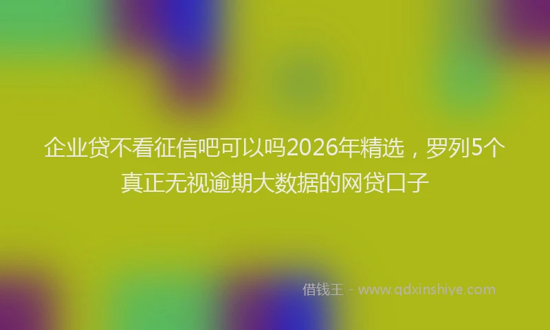 企业贷不看征信吧可以吗2026年精选,罗列5个真正无视逾期大数据的网贷口子