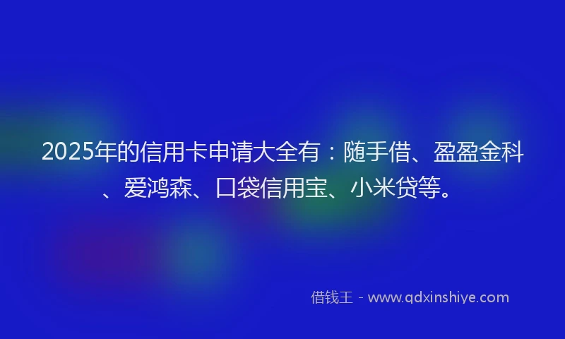 2025年的信用卡申请大全有:随手借、盈盈金科、爱鸿森、口袋信用宝、小米贷等。
