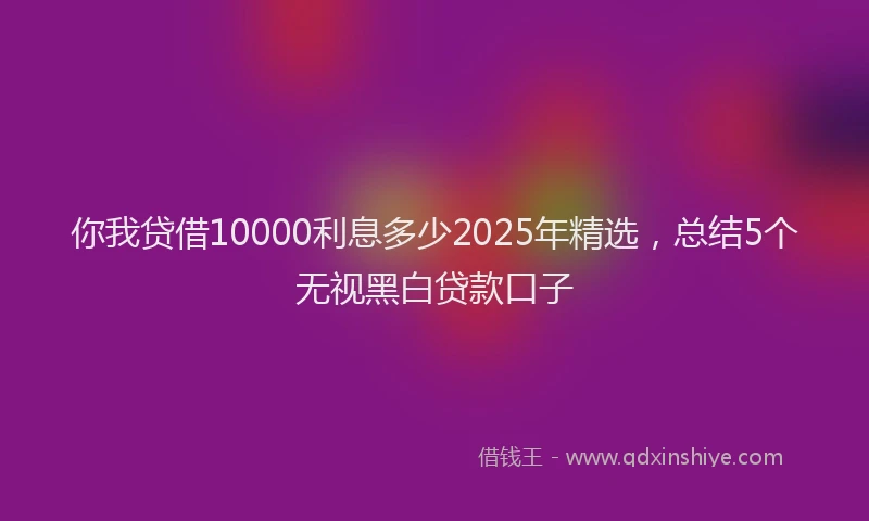 你我贷借10000利息多少2025年精选，总结5个无视黑白贷款口子