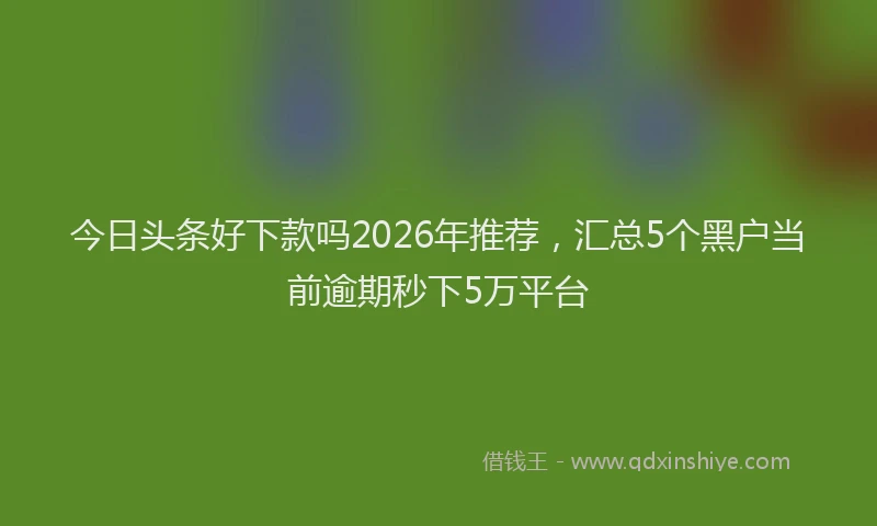 今日头条好下款吗2026年推荐，汇总5个黑户当前逾期秒下5万平台