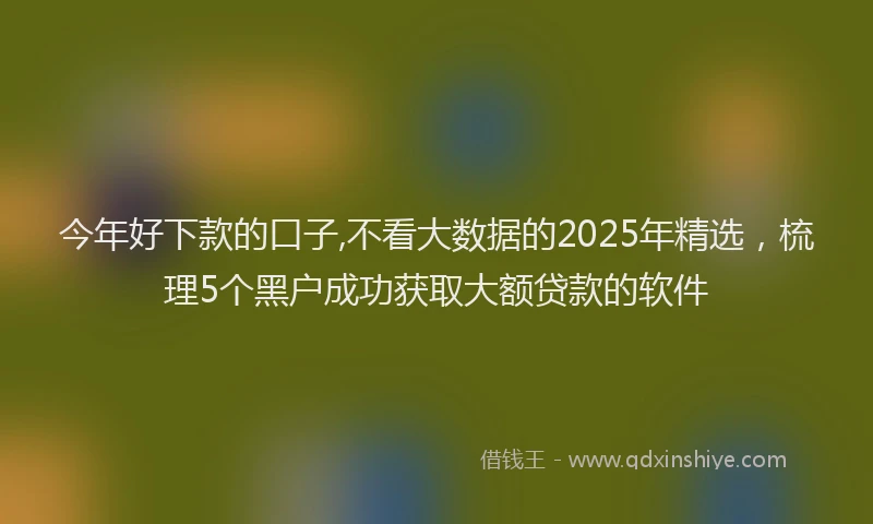 今年好下款的口子,不看大数据的2025年精选,梳理5个黑户成功获取大额贷款的软件