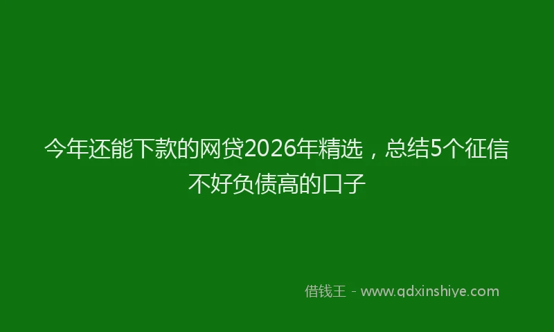 今年还能下款的网贷2026年精选,总结5个征信不好负债高的口子