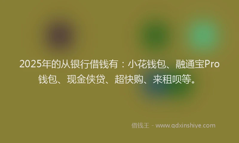 2025年的从银行借钱有：小花钱包、融通宝Pro钱包、现金侠贷、超快购、来租呗等。