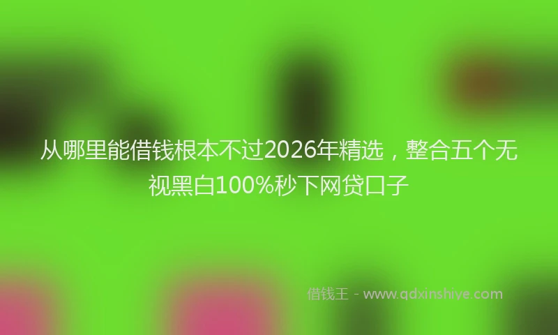 从哪里能借钱根本不过2026年精选，整合五个无视黑白100%秒下网贷口子