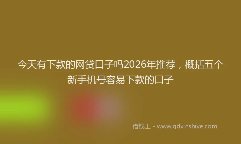 今天有下款的网贷口子吗2026年推荐，概括五个新手机号容易下款的口子