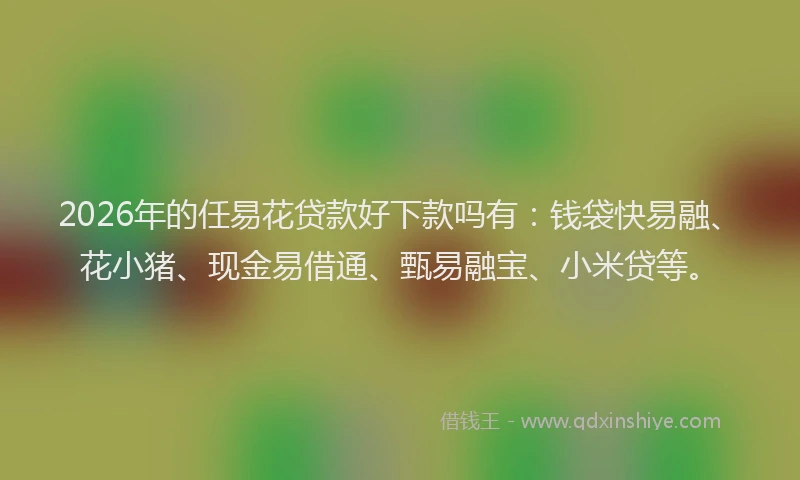2026年的任易花贷款好下款吗有：钱袋快易融、花小猪、现金易借通、甄易融宝、小米贷等。