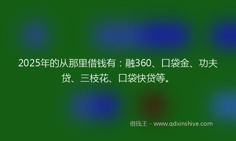 2025年的从那里借钱有:融360、口袋金、功夫贷、三枝花、口袋快贷等。