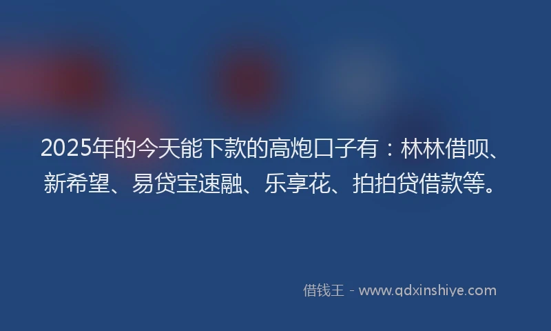 2025年的今天能下款的高炮口子有：林林借呗、新希望、易贷宝速融、乐享花、拍拍贷借款等。