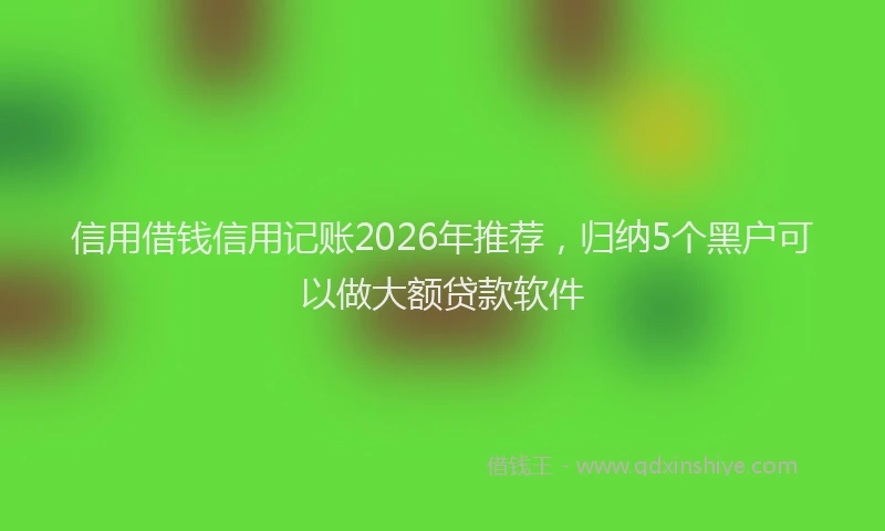 信用借钱信用记账2026年推荐，归纳5个黑户可以做大额贷款软件
