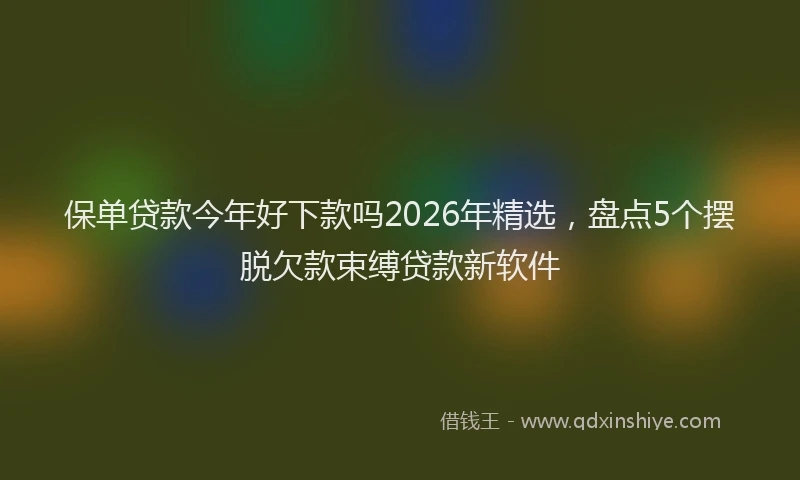 保单贷款今年好下款吗2026年精选，盘点5个摆脱欠款束缚贷款新软件