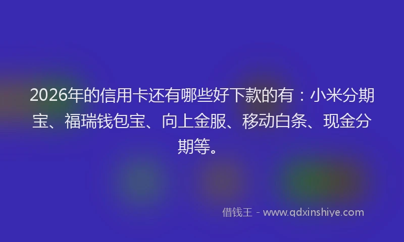 2026年的信用卡还有哪些好下款的有：小米分期宝、福瑞钱包宝、向上金服、移动白条、现金分期等。