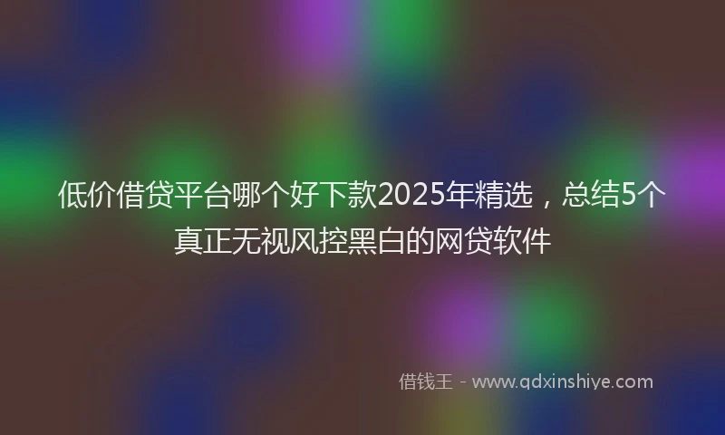 低价借贷平台哪个好下款2025年精选，总结5个真正无视风控黑白的网贷软件