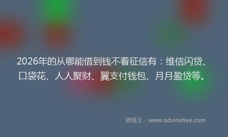 2026年的从哪能借到钱不看征信有：维信闪贷、口袋花、人人聚财、翼支付钱包、月月盈贷等。