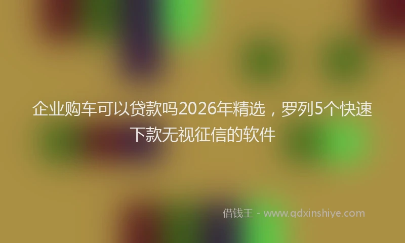 企业购车可以贷款吗2026年精选，罗列5个快速下款无视征信的软件