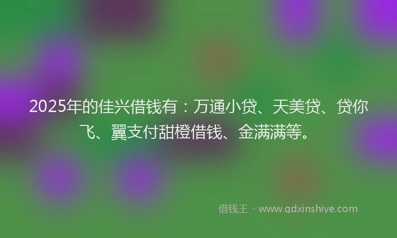 2025年的佳兴借钱有：万通小贷、天美贷、贷你飞、翼支付甜橙借钱、金满满等。
