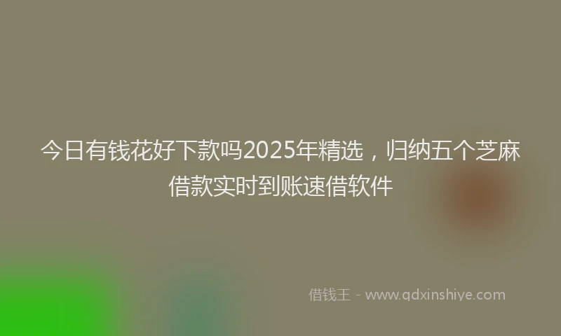 今日有钱花好下款吗2025年精选，归纳五个芝麻借款实时到账速借软件