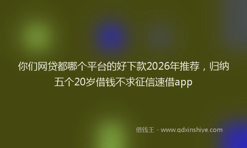 你们网贷都哪个平台的好下款2026年推荐，归纳五个20岁借钱不求征信速借app