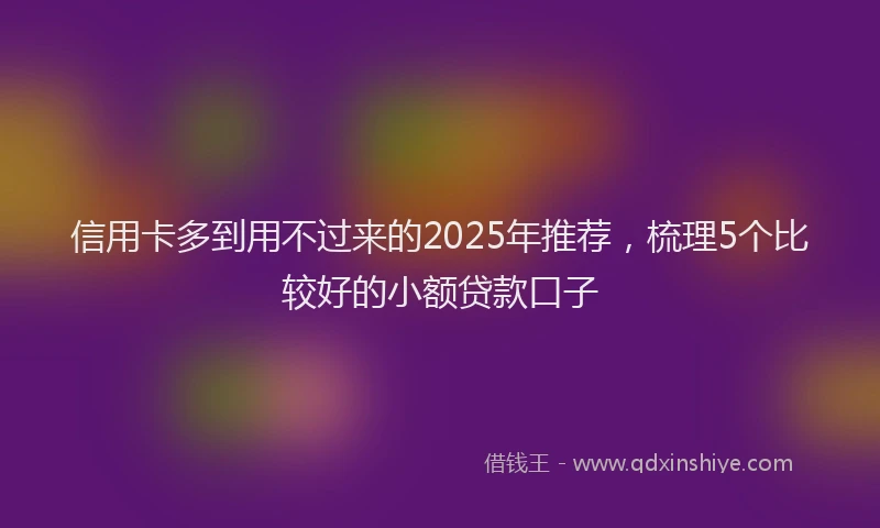 信用卡多到用不过来的2025年推荐,梳理5个比较好的小额贷款口子