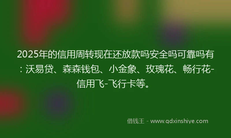 2025年的信用周转现在还放款吗安全吗可靠吗有:沃易贷、森森钱包、小金象、玫瑰花、畅行花-信用飞-飞行卡等。