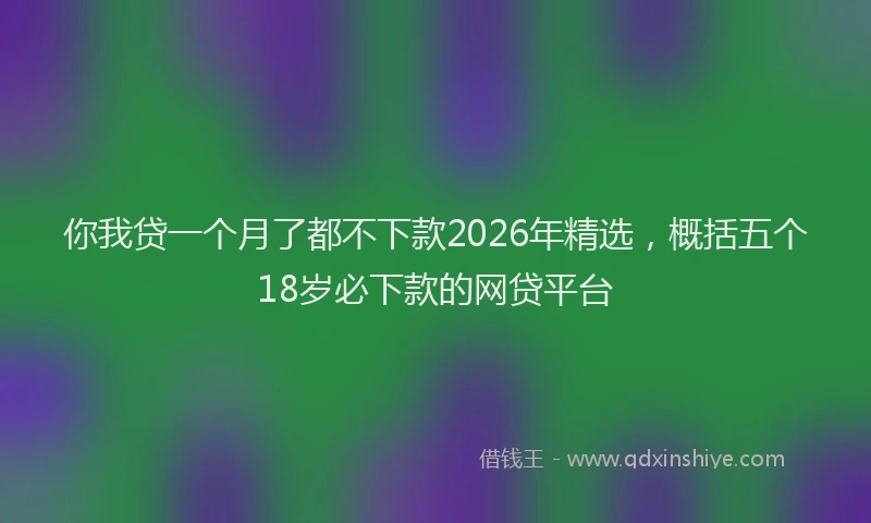 你我贷一个月了都不下款2026年精选，概括五个18岁必下款的网贷平台