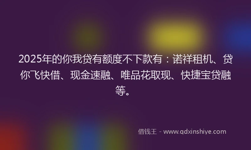 2025年的你我贷有额度不下款有：诺祥租机、贷你飞快借、现金速融、唯品花取现、快捷宝贷融等。